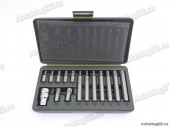 Набор вставок TORX 3/8" 15 предм. (дл. 30, 75мм + перех.1/2")  Дело Tехники 626295 от интернет-магазина avtomag02.ru