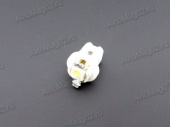 Лампа приборная 12В W 1,2W с патроном (BAX8.7d, СВЕТОДИОД) T5 1SMD МАЯК  WHITE (белый) от интернет-магазина avtomag02.ru
