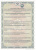 vibroplast1 (1) vibroplast1 (1)