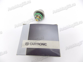 Регулятор давления топлива 2112, 1118   Cartronic KSPR-234    (аналог РДТ-300 и 380)