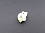 Лампа приборная 12В W 1,2W с патроном (BAX8.7d, СВЕТОДИОД) T5 1SMD МАЯК  WHITE (белый) от интернет-магазина avtomag02.ru